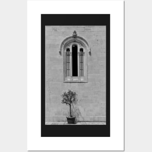 Olive Tree and Church Window Posters and Art